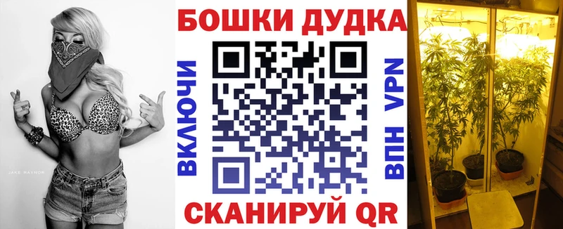 Как найти закладки Озёрск ГАШ Меф мяу мяу