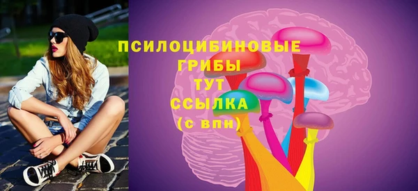 ECSTASY Дмитриев