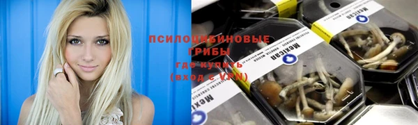 ALPHA-PVP Гусев