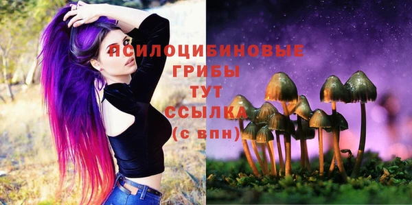 ALPHA-PVP Гусев