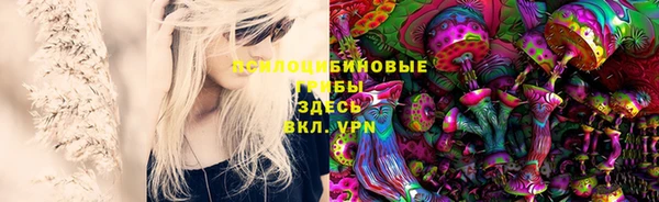 таблы Дмитров