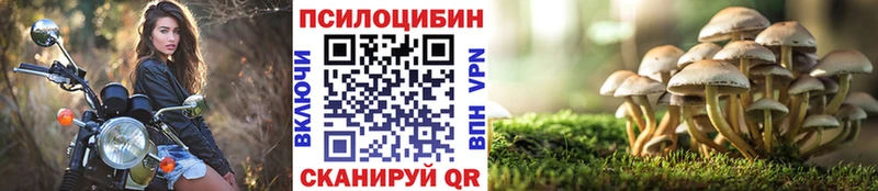 Галлюциногенные грибы ЛСД  Озёрск 
